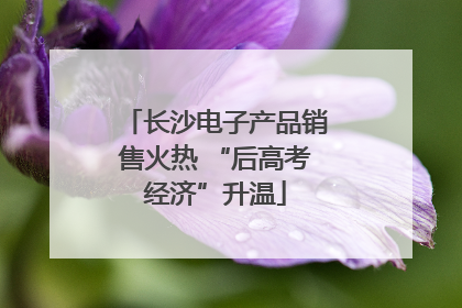 长沙电子产品销售火热 “后高考经济”升温