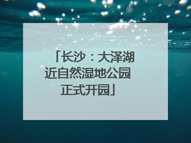 长沙：大泽湖近自然湿地公园正式开园