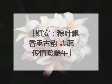 镇安：粽叶飘香承古韵 志愿传情暖端午