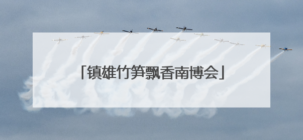 镇雄竹笋飘香南博会
