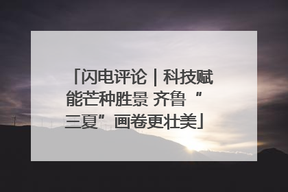 闪电评论｜科技赋能芒种胜景 齐鲁“三夏”画卷更壮美