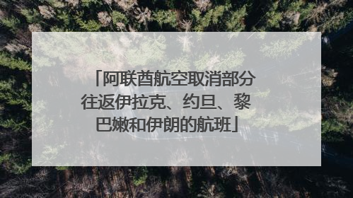 阿联酋航空取消部分往返伊拉克、约旦、黎巴嫩和伊朗的航班