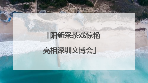 阳新采茶戏惊艳亮相深圳文博会