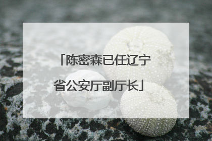 陈密森已任辽宁省公安厅副厅长
