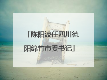 陈阳波任四川德阳绵竹市委书记