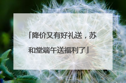 降价又有好礼送，苏和堂端午送福利了