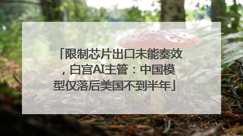 限制芯片出口未能奏效，白宫AI主管：中国模型仅落后美国不到半年