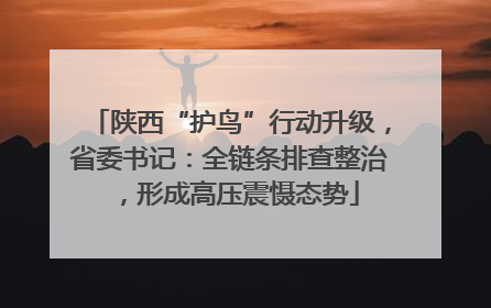 陕西“护鸟”行动升级，省委书记：全链条排查整治，形成高压震慑态势