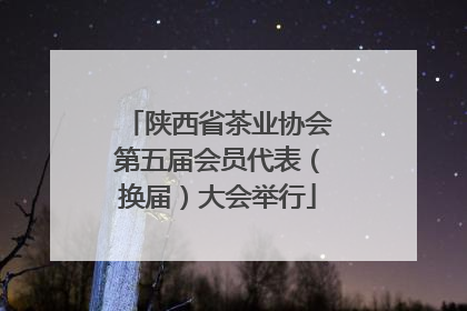 陕西省茶业协会第五届会员代表（换届）大会举行