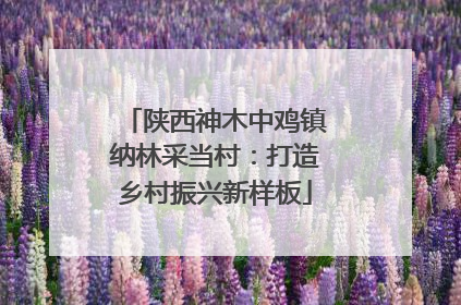 陕西神木中鸡镇纳林采当村：打造乡村振兴新样板