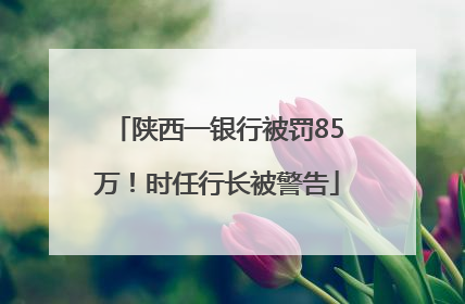 陕西一银行被罚85万！时任行长被警告