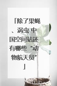除了果蝇、涡虫 中国空间站还有哪些“动物航天员”