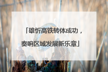 雄忻高铁转体成功，奏响区域发展新乐章