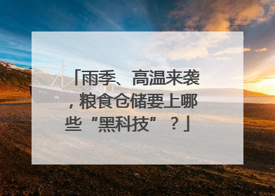 雨季、高温来袭，粮食仓储要上哪些“黑科技”？