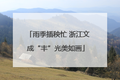 雨季插秧忙 浙江文成“丰”光美如画