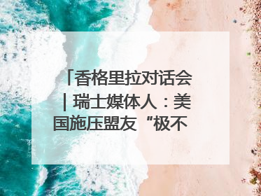 香格里拉对话会｜瑞士媒体人：美国施压盟友“极不理性” 欧洲国家无意与中国“脱钩断链”