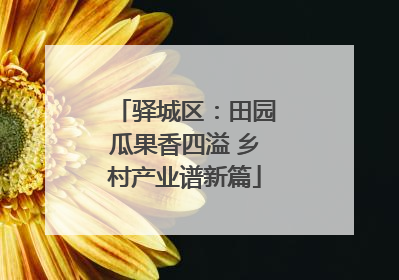驿城区：田园瓜果香四溢 乡村产业谱新篇