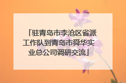 驻青岛市李沧区省派工作队到青岛市舜华实业总公司调研交流