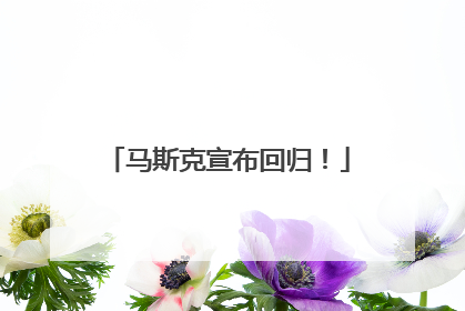 马斯克宣布回归！