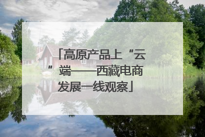 高原产品上“云”端——西藏电商发展一线观察