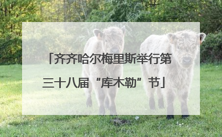 齐齐哈尔梅里斯举行第三十八届“库木勒”节