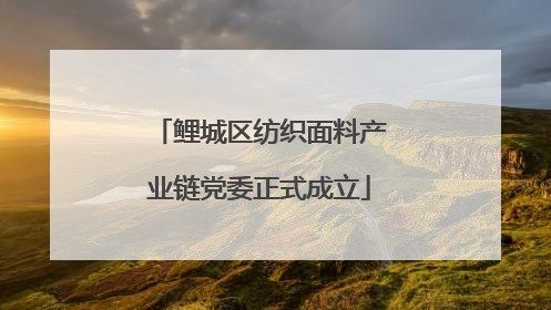 鲤城区纺织面料产业链党委正式成立