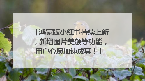 鸿蒙版小红书持续上新，新增图片美颜等功能，用户心愿加速成真！