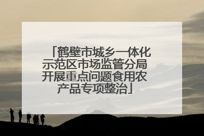 鹤壁市城乡一体化示范区市场监管分局开展重点问题食用农产品专项整治