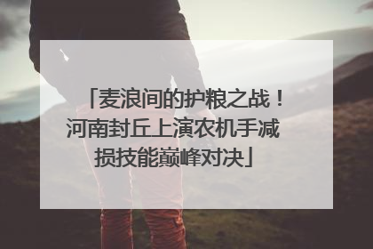 麦浪间的护粮之战！河南封丘上演农机手减损技能巅峰对决