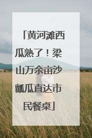黄河滩西瓜熟了！梁山万余亩沙瓤瓜直达市民餐桌