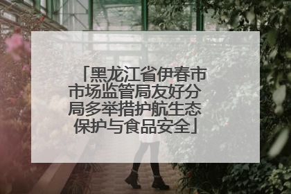 黑龙江省伊春市市场监管局友好分局多举措护航生态保护与食品安全