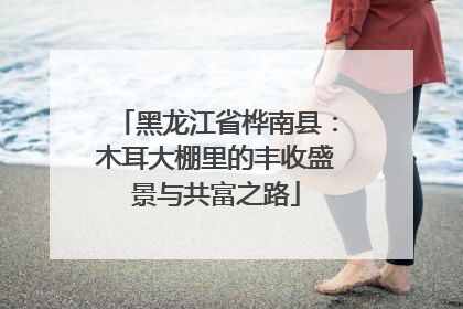 黑龙江省桦南县：木耳大棚里的丰收盛景与共富之路