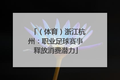 （体育）浙江杭州：职业足球赛事释放消费潜力