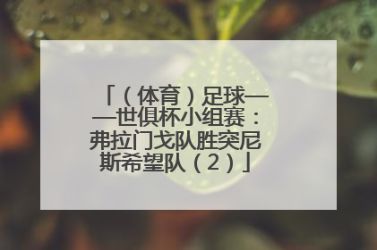 （体育）足球——世俱杯小组赛：弗拉门戈队胜突尼斯希望队（2）