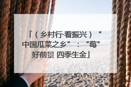 （乡村行·看振兴）“中国瓜菜之乡”：“莓”好前景 四季生金