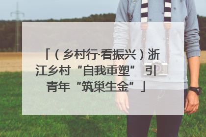 （乡村行·看振兴）浙江乡村“自我重塑” 引青年“筑巢生金”