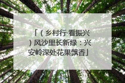 （乡村行·看振兴）风沙里长新绿：兴安岭深处花果飘香