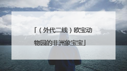 （外代二线）欧宝动物园的非洲象宝宝