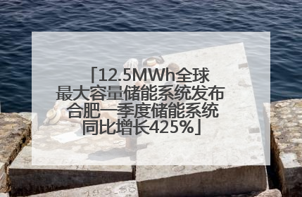 12.5MWh全球最大容量储能系统发布 合肥一季度储能系统同比增长425%