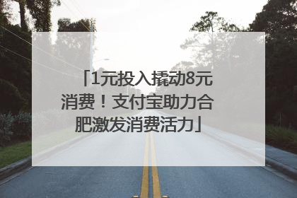 1元投入撬动8元消费！支付宝助力合肥激发消费活力
