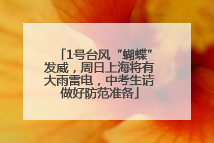 1号台风“蝴蝶”发威，周日上海将有大雨雷电，中考生请做好防范准备
