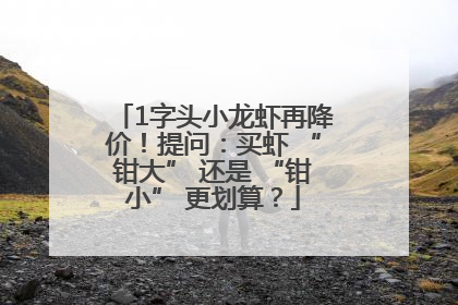1字头小龙虾再降价！提问：买虾 “钳大” 还是 “钳小” 更划算？