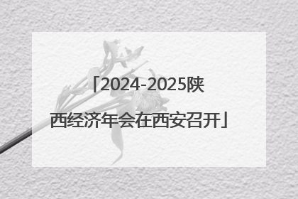 2024-2025陕西经济年会在西安召开