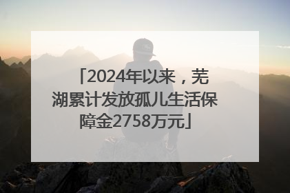 2024年以来，芜湖累计发放孤儿生活保障金2758万元