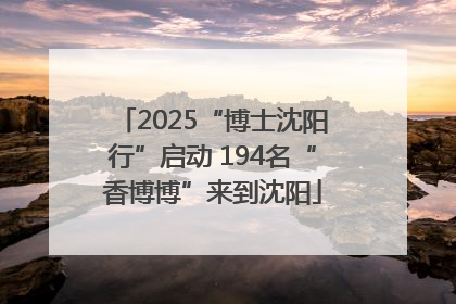 2025“博士沈阳行”启动 194名“香博博”来到沈阳