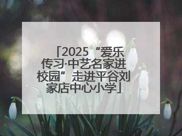 2025“爱乐传习·中艺名家进校园”走进平谷刘家店中心小学