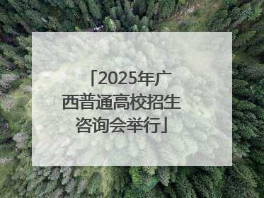 2025年广西普通高校招生咨询会举行