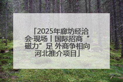 2025年廊坊经洽会·现场丨国际招商“磁力”足 外商争相向河北推介项目