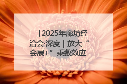 2025年廊坊经洽会·深度｜放大“会展+”乘数效应 打造消费新场景