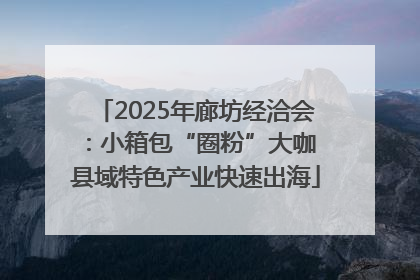 2025年廊坊经洽会：小箱包“圈粉”大咖 县域特色产业快速出海